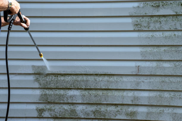 Best Engineered Wood Siding  in White Oak, MD