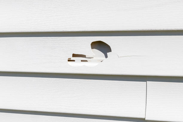  White Oak, MD Siding Installation Pros