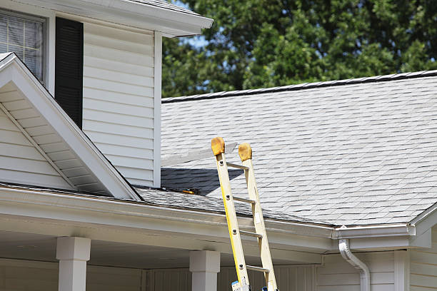 Best Siding Painting and Refinishing  in White Oak, MD